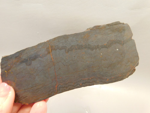 Jaspilite Unpolished Stone Slab Rough Rock Michigan #O1