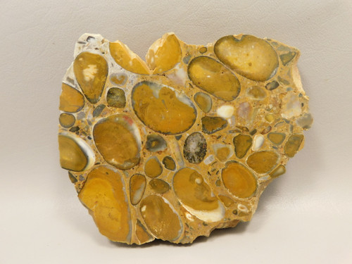 Hertfordshire Puddingstone Polished Stone Slab Conglomerate Rock #O1