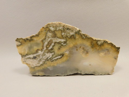 Owls Hole Agate Polished Rock Sagenite Death Valley California #O3