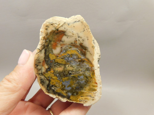 Tiffany Stone Polished Rock Collector Yellow Bertrandite Utah #O5