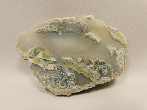 Limb Cast Polished Petrified Wood Collector Crooked River Oregon #O1 Limb Cast Polished Petrified Wood Collector Crooked River Oregon #O1