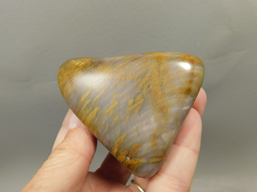Petrified Wood Tumbled Polished Stone Grassy Mountain Oregon #O10