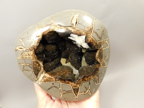 Septarian Nodule Large Polished Stone Crystal Pocket Rock Utah #O100
