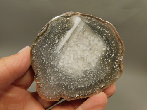 Polka Dot Agate Nodule Polished Rock Chuckwalla Springs California #O2