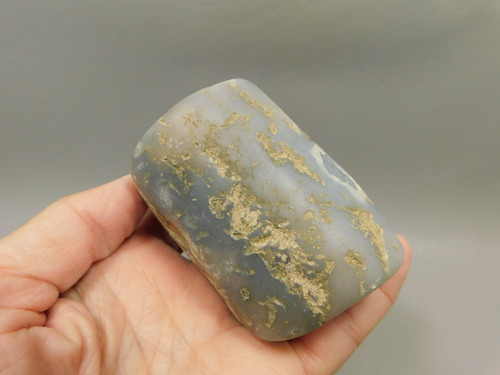 Eden Valley Petrified Wood Blue Forest Wyoming Polished Limb Cast #O1