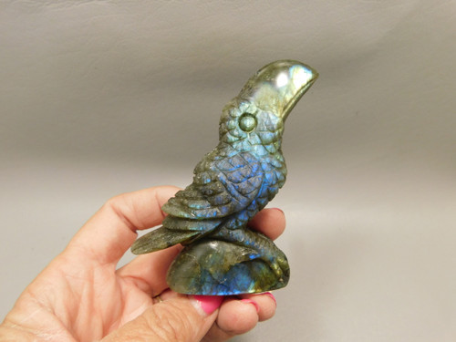 Toucan Bird Figurine Labradorite Rock Animal Carving Stone #O5