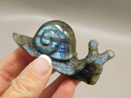 Snail Figurine Labradorite Carved Slug Gemstone Fetish #O291