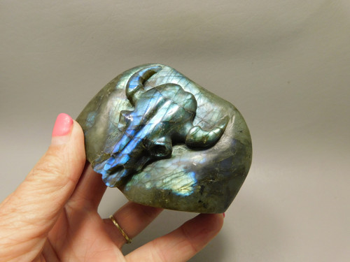 Steer Skull Western Decor Cow Labradorite Stone 3.4 inch Cowboy #O106