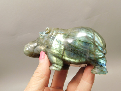 Hippopotamus Figurine Labradorite Hand Carved 4 inch Stone Animal #O96