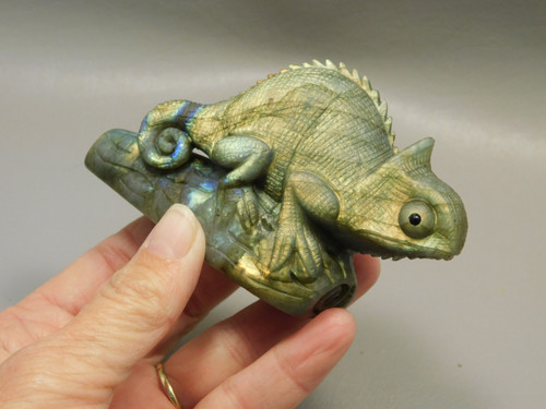 Chameleon Lizard Figurine Labradorite  Stone Animal Carving #O214