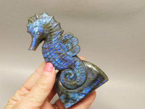 Seahorse Figurine Labradorite Gemstone Animal 4.4 inch Carving #O340