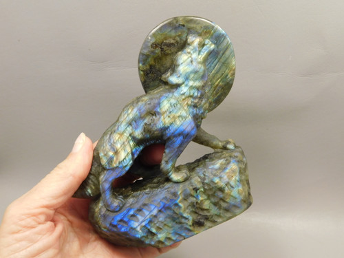 Wolf Figurine Labradorite Stone Animal 4.8 inch Coyote Carving #O204