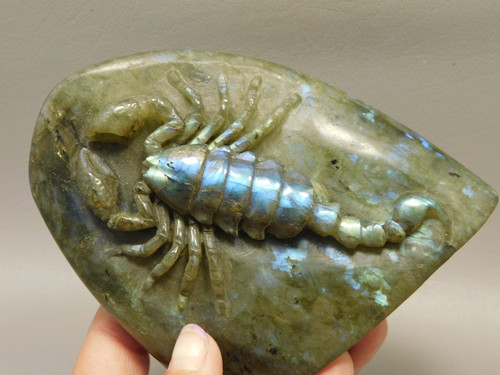 Scorpion Figurine Animal Carving Labradorite Hand Carved Rock #O83