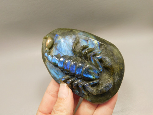 Scorpion Figurine Animal Carving Labradorite Hand Carved Rock #O211