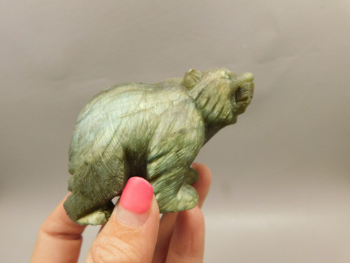 Bear Labradorite 2.9 inch Animal Stone Carving Figurine #O38 Bear Labradorite 2.9 inch Animal Stone Carving Figurine #O38