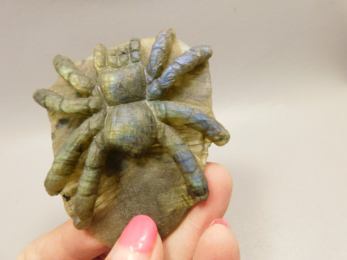 Spider Tarantula Figurine Labradorite Gemstone 2.8 inch Carving #O221 Spider Tarantula Figurine Labradorite Gemstone 2.8 inch Carving #O221