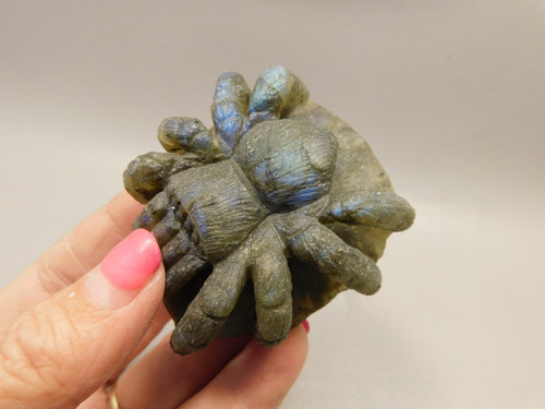 Spider Tarantula Figurine Labradorite Gemstone 2.4 inch Carving #O225 Spider Tarantula Figurine Labradorite Gemstone 2.4 inch Carving #O225