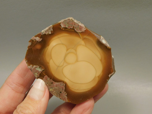 Bruneau Jasper Polished Rock Oregon #O1