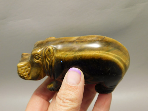 Hippopotamus Figurine Tiger-eye 4 inch Animal Gemstone Carving #O507