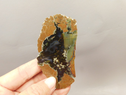 Priday Agate Thunderegg Richardson Ranch Polished Rock #O6