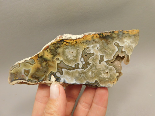 Crazy Lace Agate with Druse Polished Rock Endcut Mexico #O1