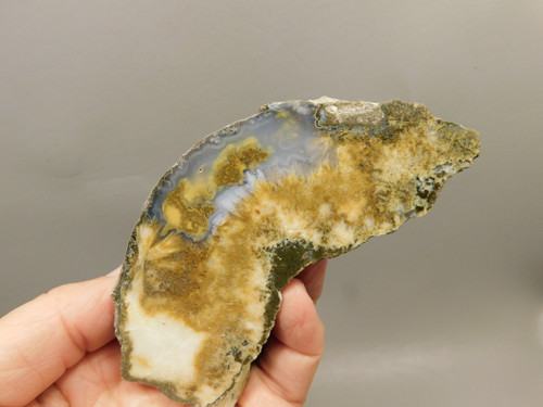 Owls Hole Agate Polished Stone Collector Sagenite Rock #O5