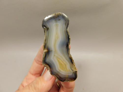 Agate Polished Stone Nodule Collector Rock Mineral #O20