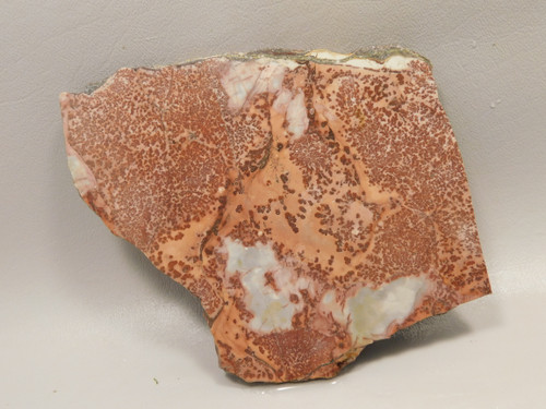 Red Sage Picture Stone Jasper Slab Rough Rock Cabbing Cutting #O4