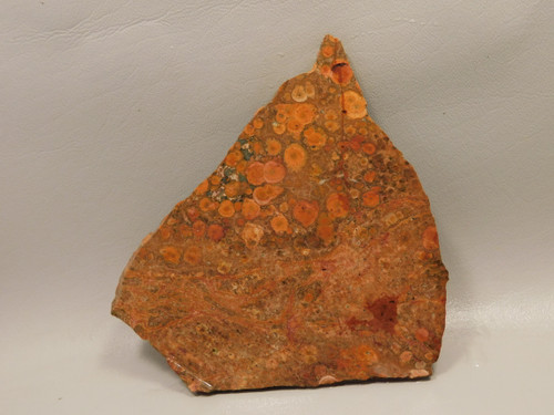 Birdseye Rhyolite Rough Rock Poppy Jasper Stone Slab #O5