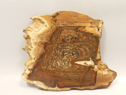 Deschutes Jasper Stone Slab Unpolished Rough Rock Oregon #O2