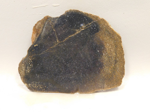 Dinosaur Bone Fossilized Unpolished Lapidary Stone Slab #O3