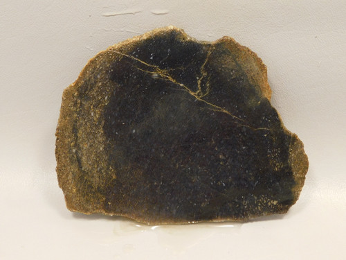 Dinosaur Bone Fossilized Unpolished Lapidary Stone Slab #O3