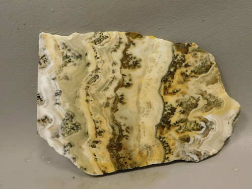 Silver Lace Onyx Stone Slab Unpolished Rock Calico California #O2