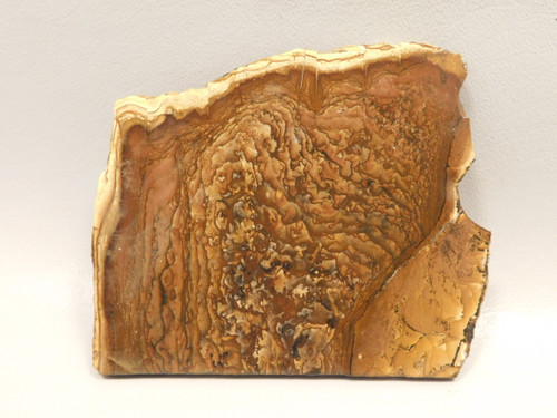 Deschutes Jasper Stone Slab Unpolished Rough Rock Oregon #O4