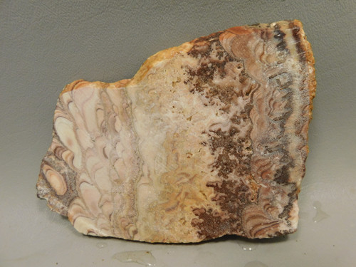 Wave Dolomite Unpolished Stone Slab Wavy or Rolling Hills Rock #O1