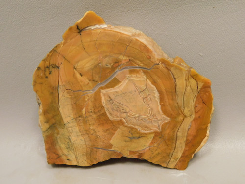 Chapenite Jasper Unpolished Stone Slab Ft. Irwin California #O10