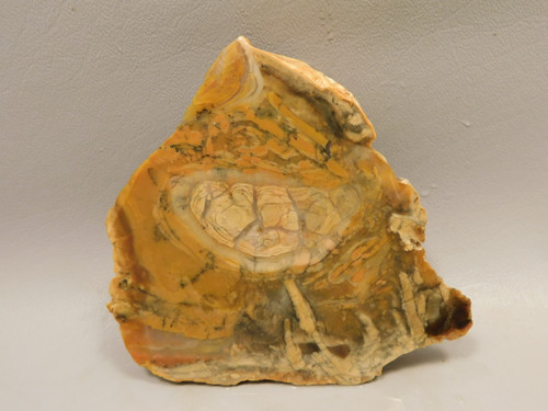 Chapenite Jasper Unpolished Rough Rock Ft. Irwin California #O11