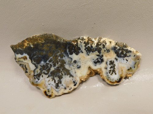 Medicine Bow Agate Stone Slab Unpolished Rough Rock Wyoming #O4