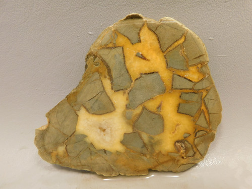 Septarian Nodule Unpolished Stone Slab Rough Rock Utah #O2