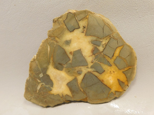 Septarian Nodule Unpolished Stone Slab Rough Rock Utah #O2