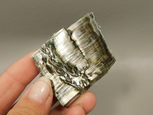 Arizona Pietersite Polished Stone Slab Chatoyant Tiger Eye #O10