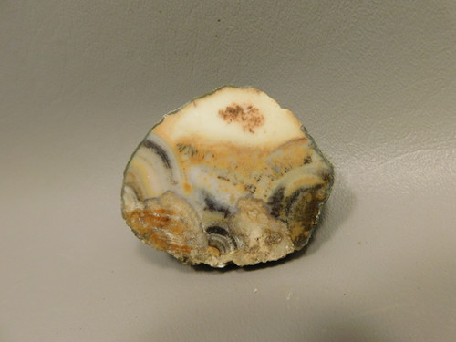 Owls Hole Agate Unpolished Rough Rock Sagenite Death Valley #O1