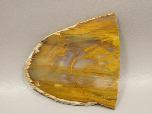 Petrified Wood Polished Round Rock Grassy Mountain Oregon #O106 Petrified Wood Polished Round Rock Grassy Mountain Oregon #O106