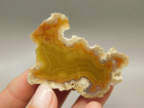 Laguna Agate Polished Stone Nodule Collector Banded Rock #O20
