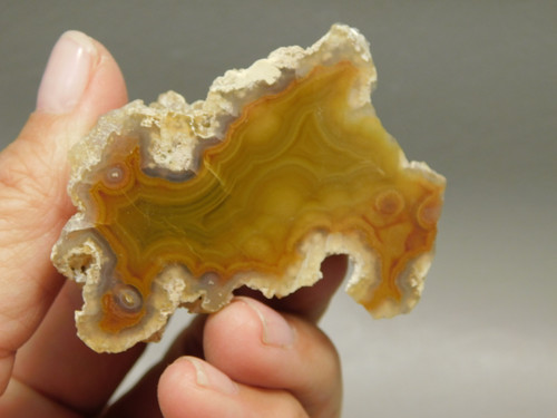 Laguna Agate Polished Stone Nodule Collector Banded Rock #O20