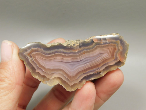Laguna Agate Polished Stone Collector Banded Pink Rock #O28