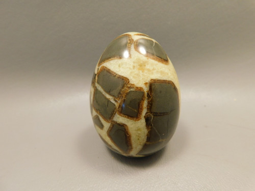 Septarian Nodule Egg Shaped 2.4 inch Polished Rock Utah Stone #O1