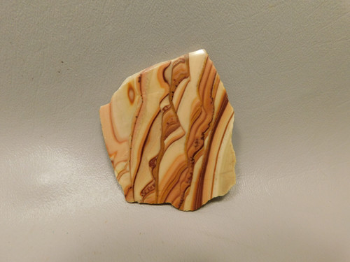 Wave Dolomite Polished Rock Slab Stromatolite #O10