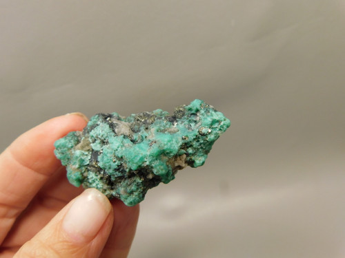 Turquoise Nugget Rock Small Natural Unpolished Stone Mexico #O14
