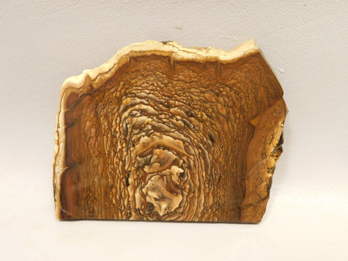 Deschutes Jasper Stone Slab Unpolished Rough Rock Oregon #O3